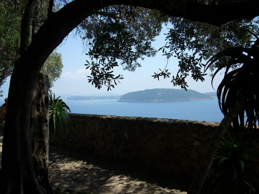 Vista Albero
