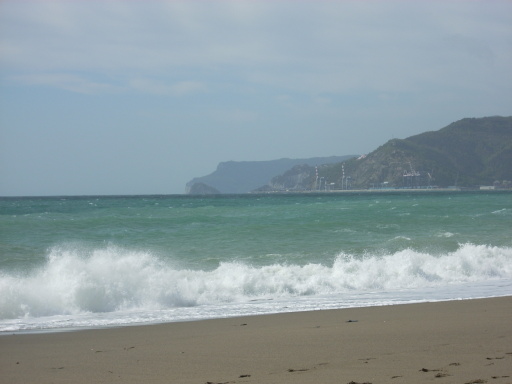 Mare
